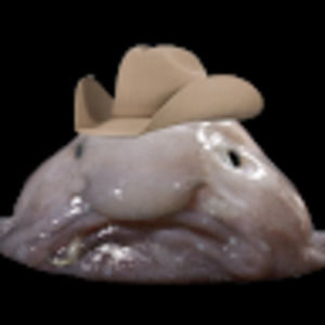 Meet your Posher, Clinton